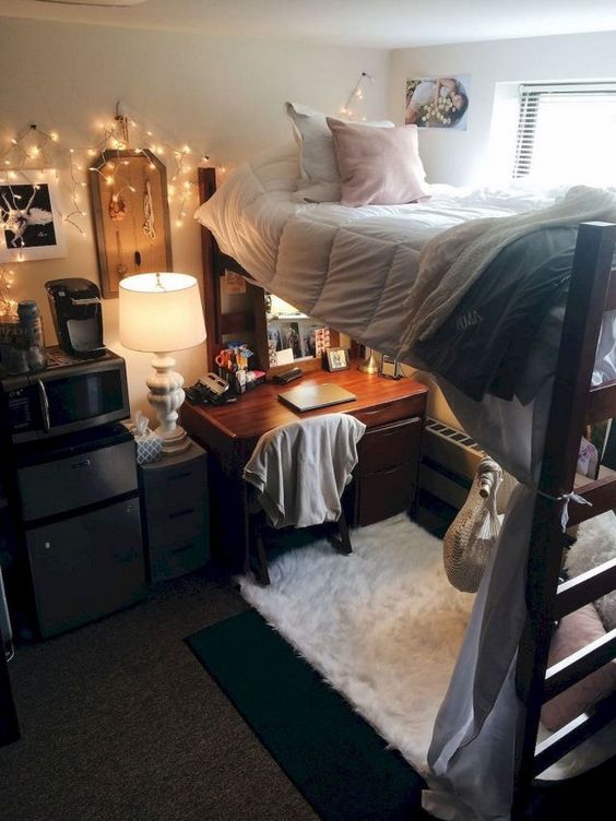 Loft Bed Dorm Room