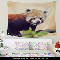 Red Panda Decor | Bath & Bedroom | Wall Decor