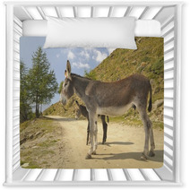 2 Donkeys , Equus Africanus Asinus Nursery Decor 80841703