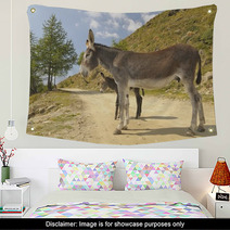 2 Donkeys , Equus Africanus Asinus Wall Art 80841703