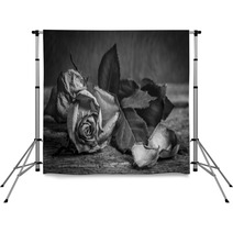 A Black And White Vintage Image Of A Rose On Wooden Table Backdrops 59417810