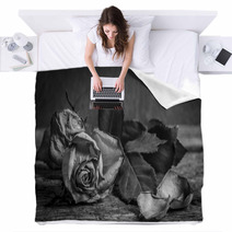 A Black And White Vintage Image Of A Rose On Wooden Table Blankets 59417810