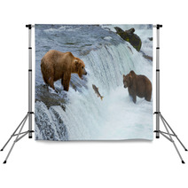 A Brown Grizzly Bear Hunting Salmon At The River Alaska Katmai Backdrops 61358999