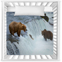 A Brown Grizzly Bear Hunting Salmon At The River Alaska Katmai Nursery Decor 61358999