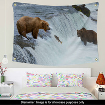 A Brown Grizzly Bear Hunting Salmon At The River Alaska Katmai Wall Art 61358999