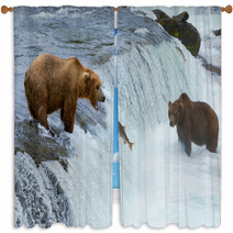 A Brown Grizzly Bear Hunting Salmon At The River Alaska Katmai Window Curtains 61358999