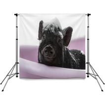 A Cute Little Piggy With A Soap Foam - Hygiene Concept Backdrops 47923868