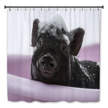 A Cute Little Piggy With A Soap Foam - Hygiene Concept Bath Decor 47923868