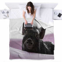 A Cute Little Piggy With A Soap Foam - Hygiene Concept Blankets 47923868