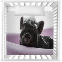 A Cute Little Piggy With A Soap Foam - Hygiene Concept Nursery Decor 47923868