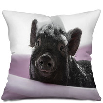 A Cute Little Piggy With A Soap Foam - Hygiene Concept Pillows 47923868