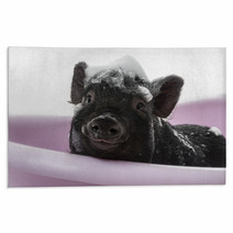 A Cute Little Piggy With A Soap Foam - Hygiene Concept Rugs 47923868