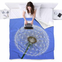 A Dandelion On Blue Background Blankets 62808922