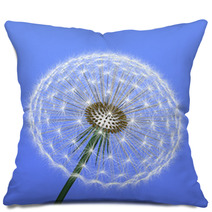 A Dandelion On Blue Background Pillows 62808922