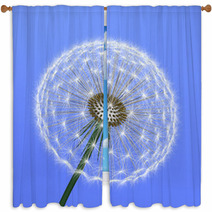 A Dandelion On Blue Background Window Curtains 62808922