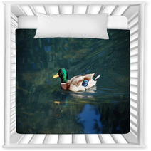 A Duck On The Water Nursery Decor 99980141
