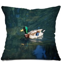 A Duck On The Water Pillows 99980141