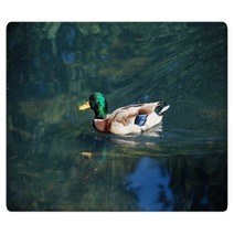 A Duck On The Water Rugs 99980141