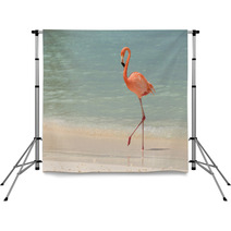 A Flamingo Walking On A Tropical Beach Backdrops 181298417