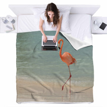 A Flamingo Walking On A Tropical Beach Blankets 181298417