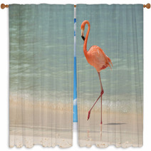 A Flamingo Walking On A Tropical Beach Window Curtains 181298417