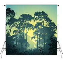 A Forest Landscape With Trees And Sunset Sunrise Backdrops 35613316