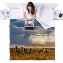 A Herd Of Sheep In A Field Blankets 64072039