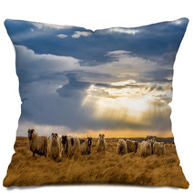 A Herd Of Sheep In A Field Pillows 64072039