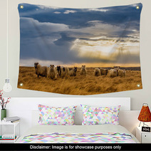 A Herd Of Sheep In A Field Wall Art 64072039