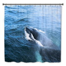 A Humpback Whale Bath Decor 43002872