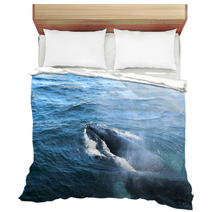 A Humpback Whale Bedding 43002872