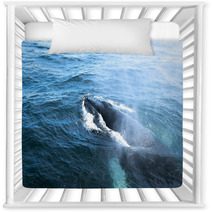 A Humpback Whale Nursery Decor 43002872