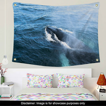 A Humpback Whale Wall Art 43002872