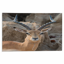 A Male Impala (Aepyceros Melampus) That Has Broken Free From A W Rugs 93416046