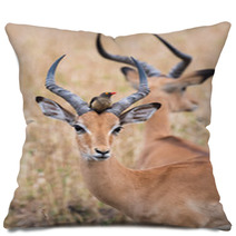 A Male Impala (Aepyceros Melampus) With A Red-billed Oxpecker Pe Pillows 98458521