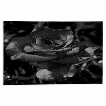 A Rose In The Dew Rugs 68024813