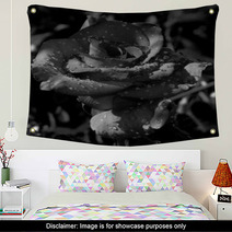 A Rose In The Dew Wall Art 68024813