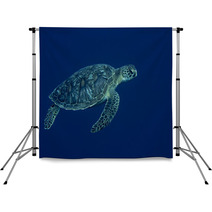 A Sea Turtle Portrait Close Up While Looking At You Backdrops 63841573