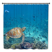 A Sea Turtle Portrait Close Up While Looking At You Bath Decor 47922253