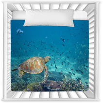 A Sea Turtle Portrait Close Up While Looking At You Nursery Decor 47922253