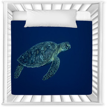 A Sea Turtle Portrait Close Up While Looking At You Nursery Decor 63841573
