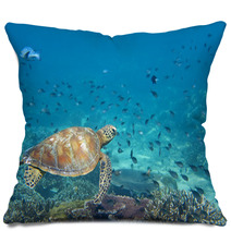 A Sea Turtle Portrait Close Up While Looking At You Pillows 47922253
