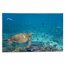 A Sea Turtle Portrait Close Up While Looking At You Rugs 47922253