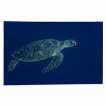 A Sea Turtle Portrait Close Up While Looking At You Rugs 63841573