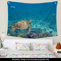 A Sea Turtle Portrait Close Up While Looking At You Wall Art 47922253