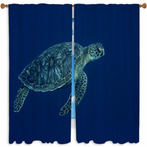 A Sea Turtle Portrait Close Up While Looking At You Window Curtains 63841573