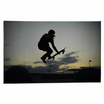 A Skateboarder Skates In A Skate Park. Rugs 94220987