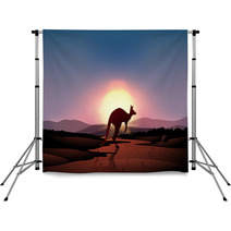 A Sunset At The Desert With A Kangaroo Backdrops 50593591