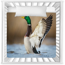 A Wild Duck Nursery Decor 78769123