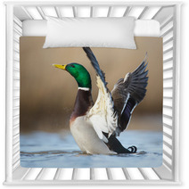 A Wild Duck Nursery Decor 78769143